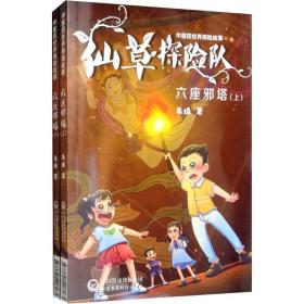 新华正版 六座邪塔(2册) 朱姝 9787521408065 中国医药科技出版社