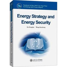 能源战略与能源安全
