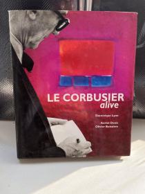 柯布西耶 建筑 设计 作品集 Corbusier alive