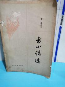 古小说选