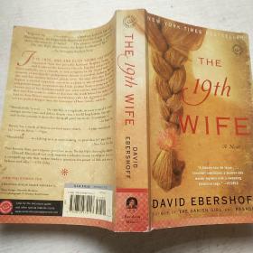 The 19th Wife：A Novel
