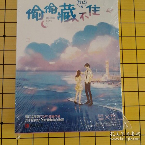 《偷偷藏不住(全二册)竹已晋江金榜作品段嘉许vs桑稚》低价购书_文学