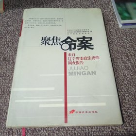 聚焦命案:辽宁省2000-2002年凶杀案件高发原因与对策调查报告