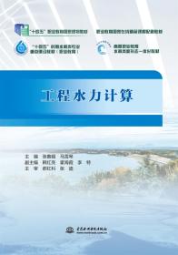 工程水力计算 普通图书/工程技术 张春娟,马雪琴 中国水利水电 9787522611402
