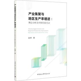 新华正版 产业集聚与地区生产率增进:理论分析及中国经验实证 赵婷 9787520339858 中国社会科学出版社 2020-09-01