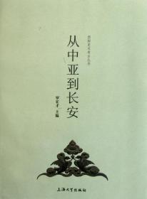从中亚到长安/西部美术考古丛书 9787811189087