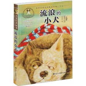 新华正版 流浪的小犬 许廷旺 9787534070600 浙江人民美术出版社