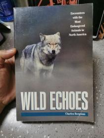 英文原版WILD ECHOES：Encounters with the Most Endangered Animals in North America野生回声：北美最濒危动物的遭遇