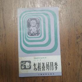 怎樣養好月季