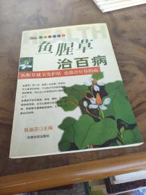 鱼腥草治百病