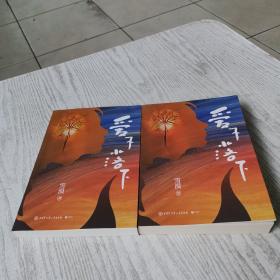爱不落下（全两册）