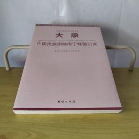 大象：中国民族团结南宁经验研究（未开封）