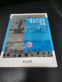 中国小说学会首届小说节文集