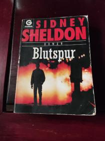 德语原版小说书:SIDNEY SHELDON Blutspur【西德尼·谢尔顿 著，1979版】