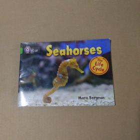 英文原版 Seahorses (Collins Big Cat)