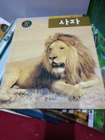 韩国原版儿童书百科书(狮子) 韩语 韩文 彩图 16开 绘本精装图书 二手书籍卖出不退不换，外观见图