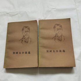 契诃夫小说选 上下