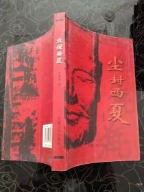 尘封西夏