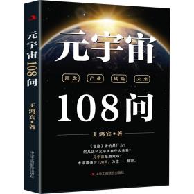 元宇宙108问 经济理论、法规 王鸿宾 新华正版
