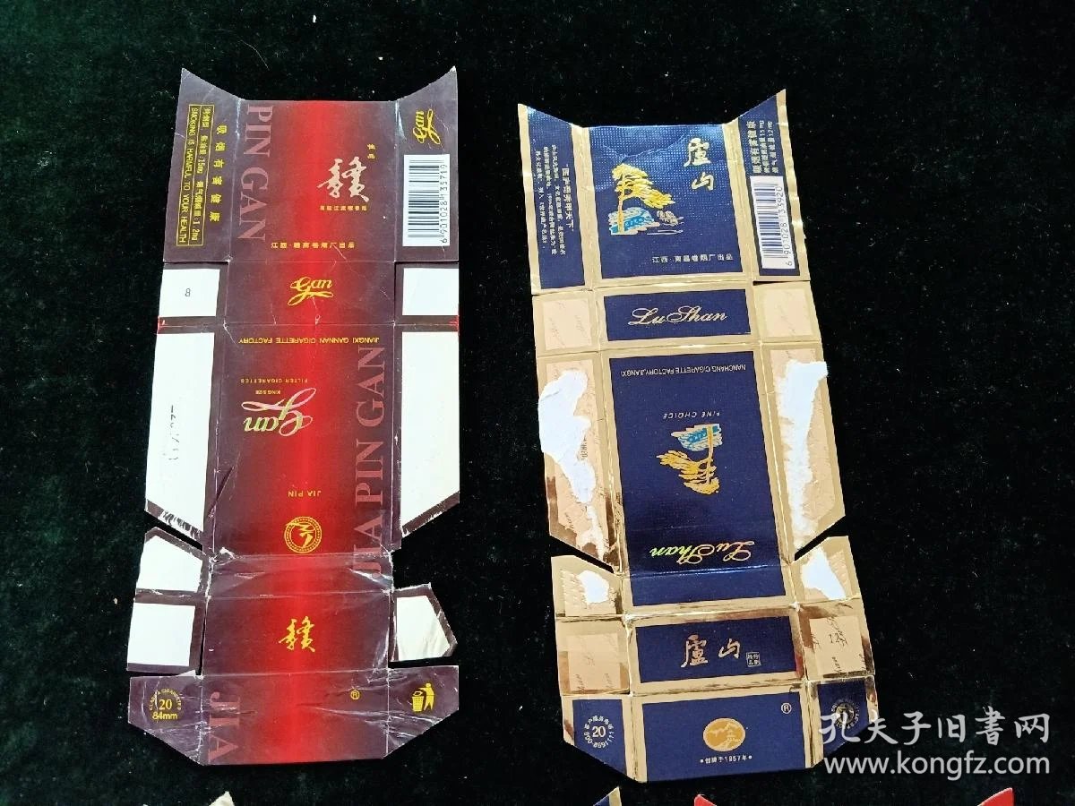 平安人寿保险：保障未来的明智选择