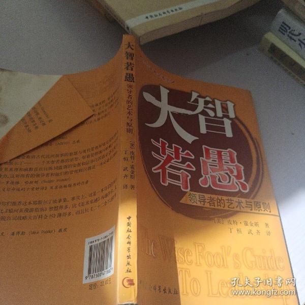 大智