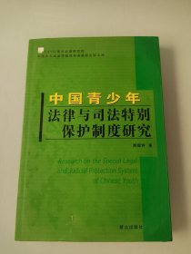 中国青少年法律与司法特别保护制度研究