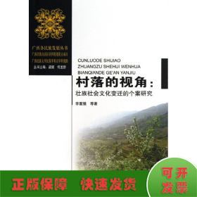 村落的视角--壮族社会文化变迁的个案研究/广西各民族发展丛书