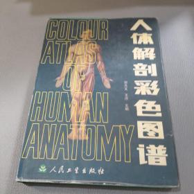 人体解剖彩色图谱