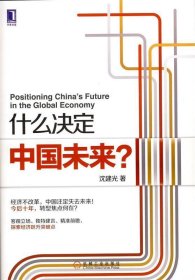 什么决定中国未来? 【正版九新】