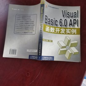 Visual Basic 6.0 API函数开发实
