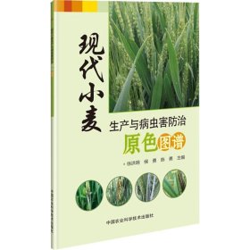 【正版书籍】现代小麦生产与病虫害防治原色图谱
