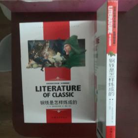 《钢铁是怎么炼成的》世界语+中文版两本合售