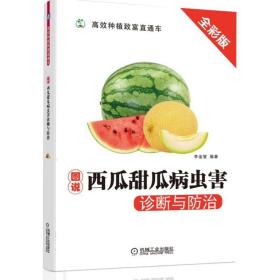 图说西瓜甜瓜病虫害诊断与防治(全彩版)/高效种植致富直通车