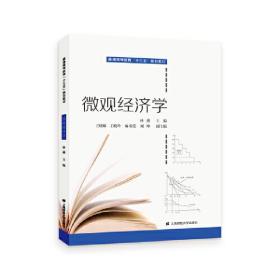 新华正版 微观经济学 林燕 9787564231545 上海财经大学出版社