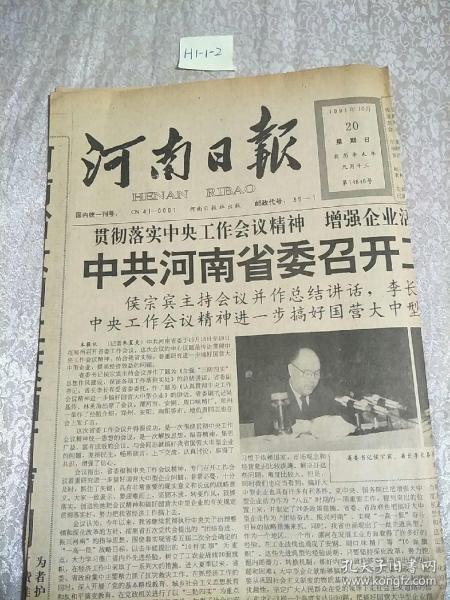 河南日報1991年10月20日生日報