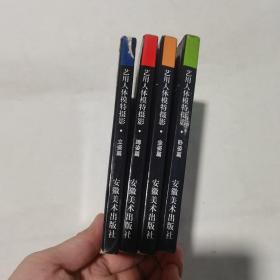 艺用人体模特摄影 卧姿篇、蹲姿篇、坐姿篇、立姿篇 （4本）