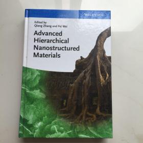 原版书籍 Advanced Hierarchical Nanostructured Materials 先进的分层纳米结构材料