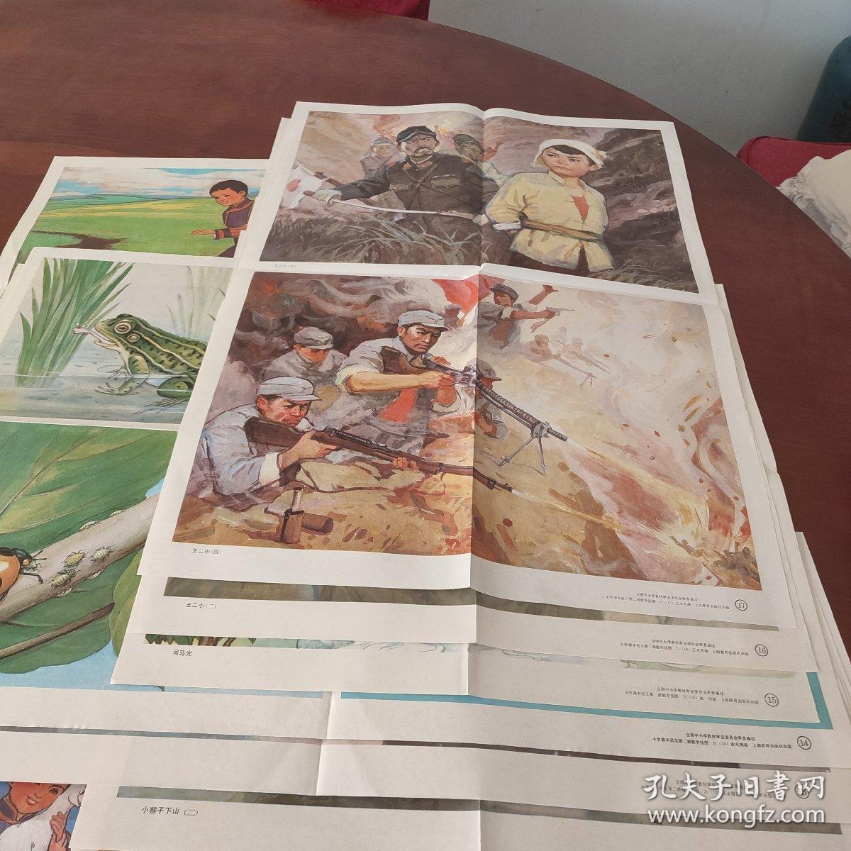 五六年制小学课本语文教学挂图第二册全套y2