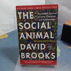 the social animal