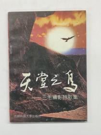 天堂之鸟--三毛摄影诗歌集