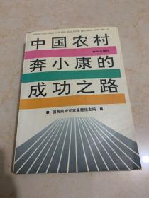 中国农村奔小康的成功之路