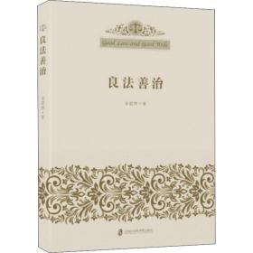 良善治 法学理论 李丽辉 新华正版