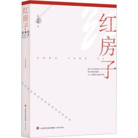 红房子 中国现当代文学 吴晨阳 新华正版