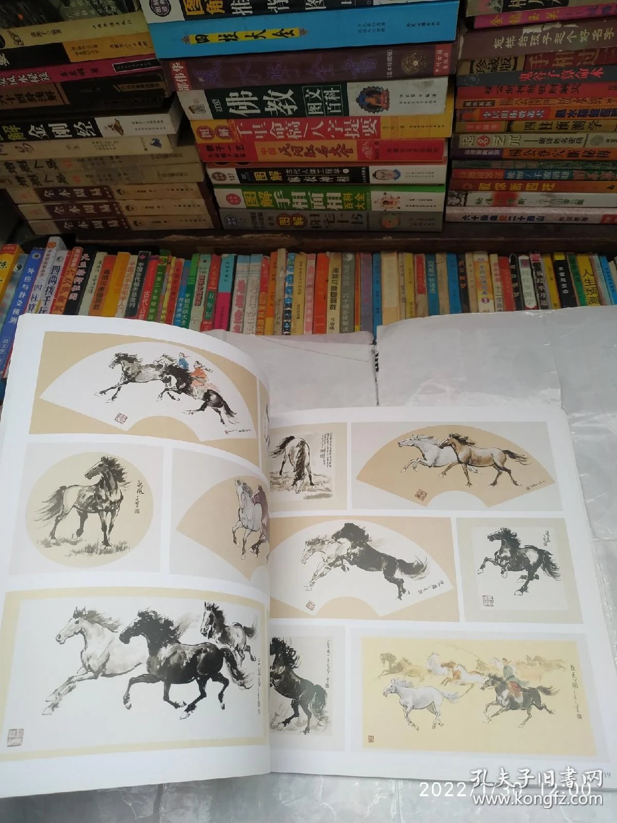 中国名人堂画马名家王子贤
