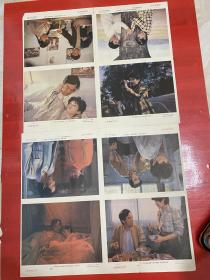（电影海报）银杏树之恋（二开剧照组合）广西电影制片厂摄制，品相以图为准