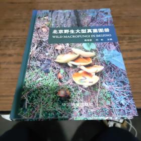 北京野生大型真菌图册