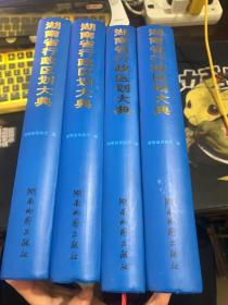 湖南省行政区划大典 （第一 第二 第三 第五）共四卷合售