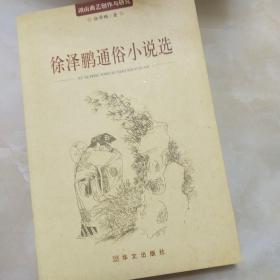 湖南曲艺创作与研究:徐泽鹏通俗小说选