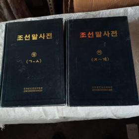朝鲜语词典上下（朝鲜文）精装16开