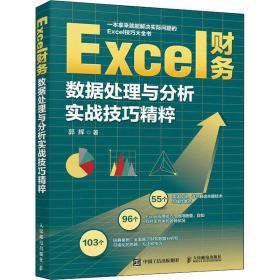 新华正版 Excel财务数据处理与分析实战技巧精粹 郭辉 9787115579225 人民邮电出版社
